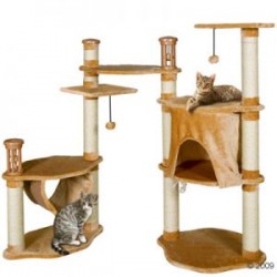 Cat Furniture